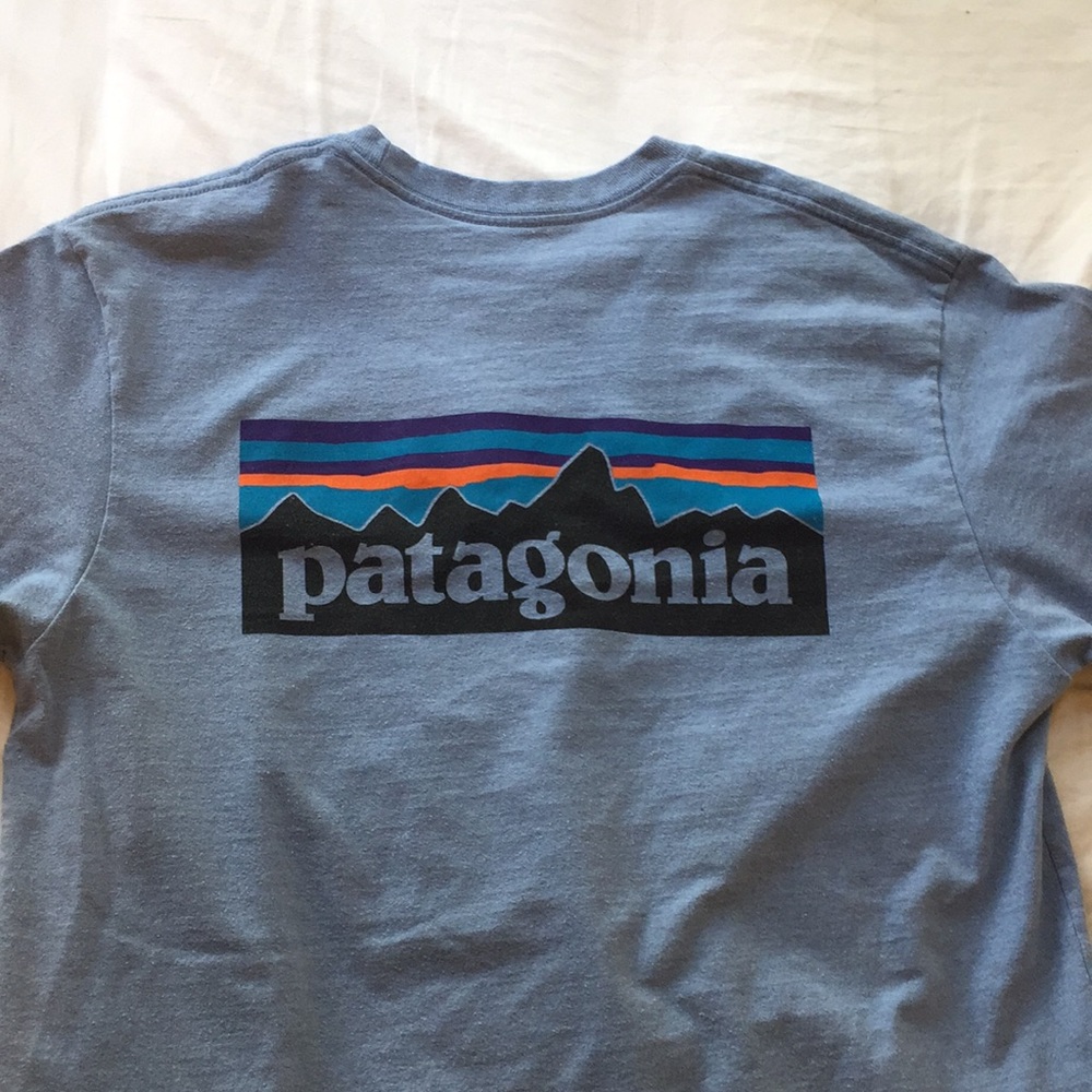 patagonia t-shirt